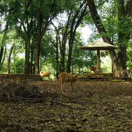 Arimbi Pejaten Suites Джакарта Екстер'єр фото